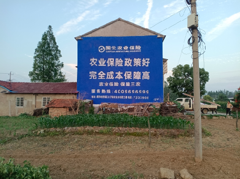 开远墙体广告为何受追捧？